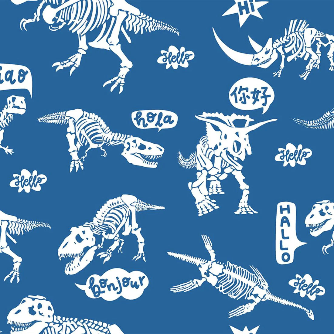 RYB HELLO DINO SWEATSHIRT