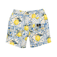 RYB MAJOLICA BOARDSHORTS