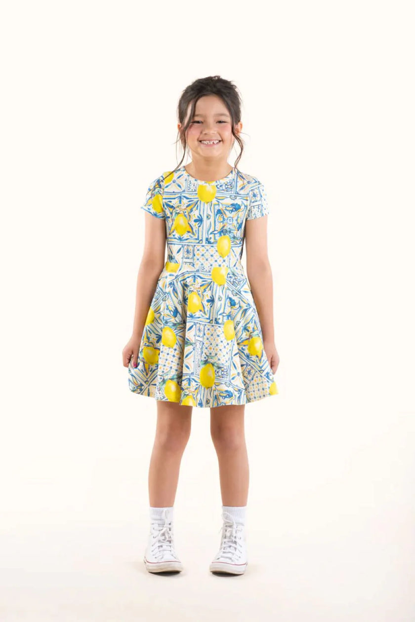 RYB MAJOLICA WAISTED DRESS