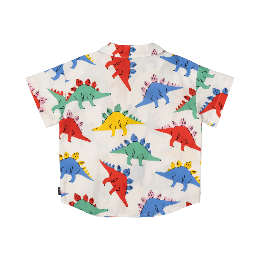 RYB DINO TIME SHIRT