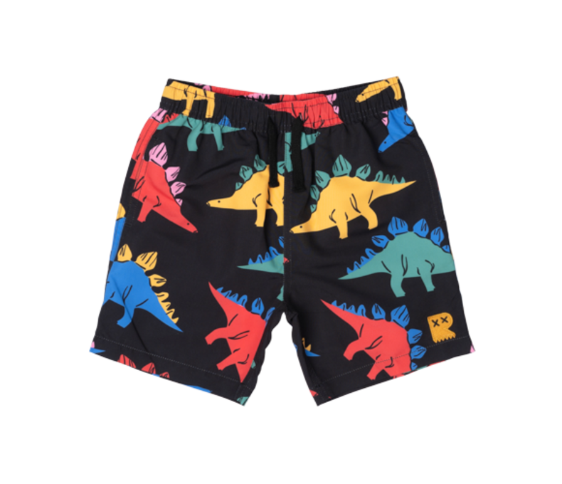 RYB DINO TIME BOARDSHORTS