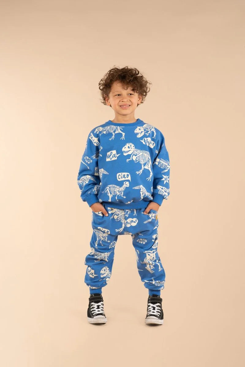 RYB HELLO DINO SWEATSHIRT