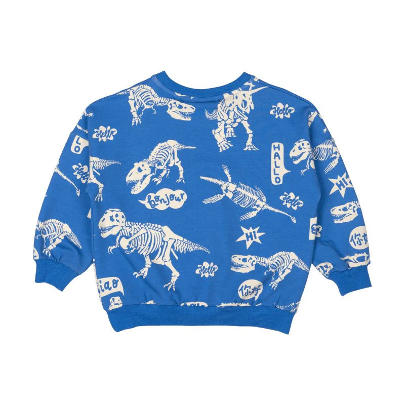 RYB HELLO DINO SWEATSHIRT