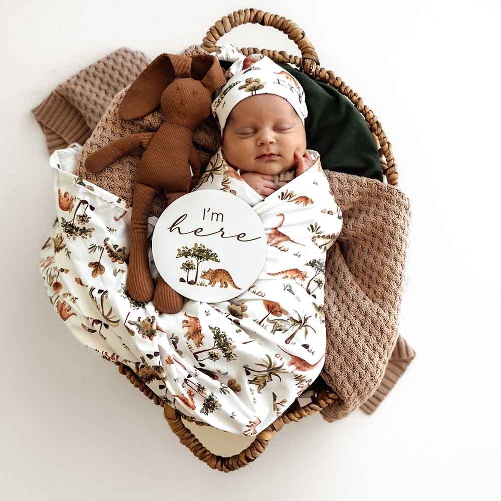 SNUGGLE HUNNY DINO JERSEY WRAP SET