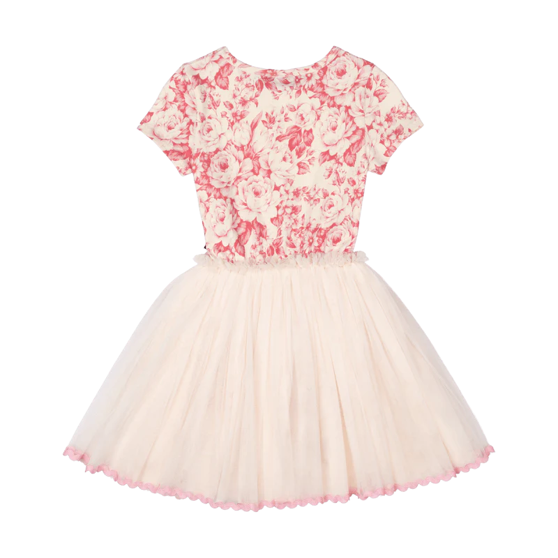 RYB FLORAL TOILE CIRCUS DRESS