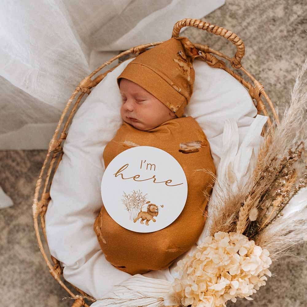 SNUGGLE HUNNY ROAR JERSEY WRAP SET